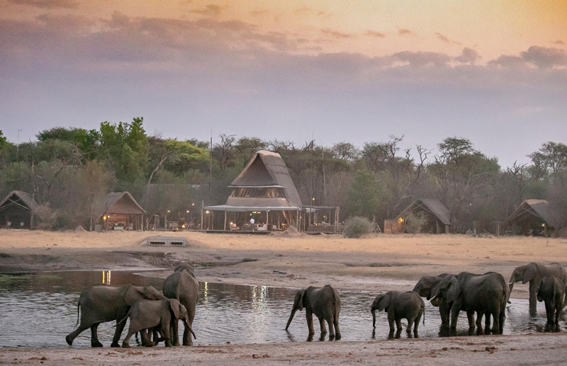 The Hide Safari Camp - Hwange